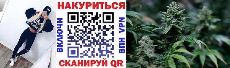 Конопля Bruce Banner  Фрязино 